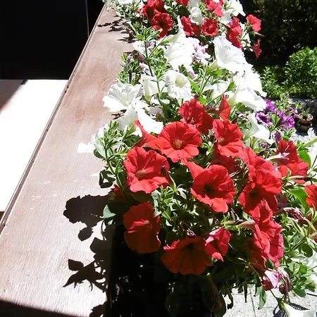 Guest house Haus Kehlstein Ramsau bei Berchtesgaden